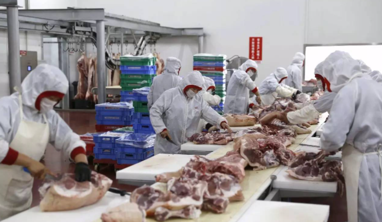 蔬东坡 蔬菜配送公司如何全面保证食材新鲜度与安全性？食材管控全解析